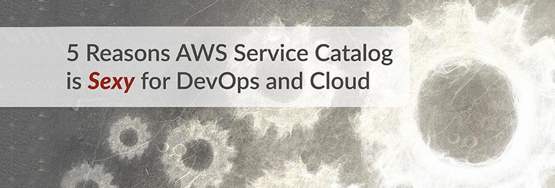 5 Reasons AWS Service Catalog is Sexy for DevOps and Cloud