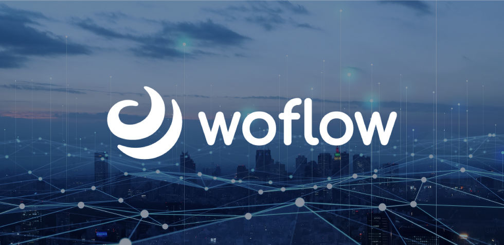 woflow Logo