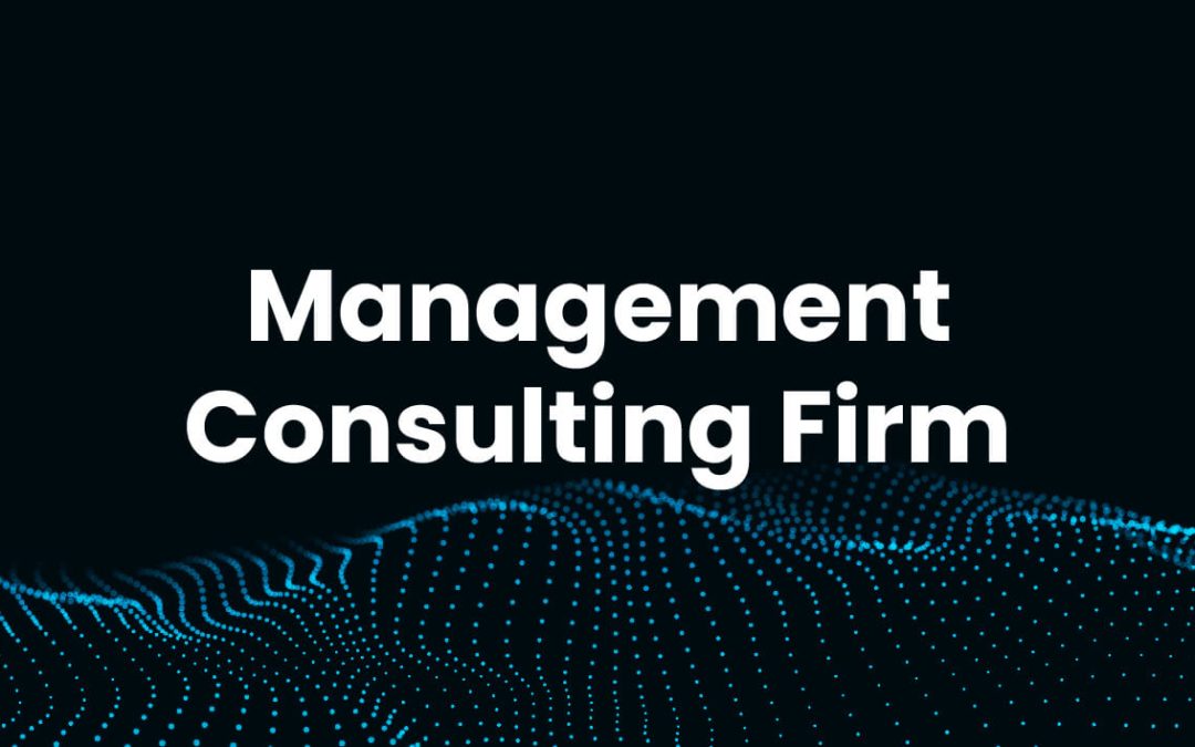 Management Consulting Firm