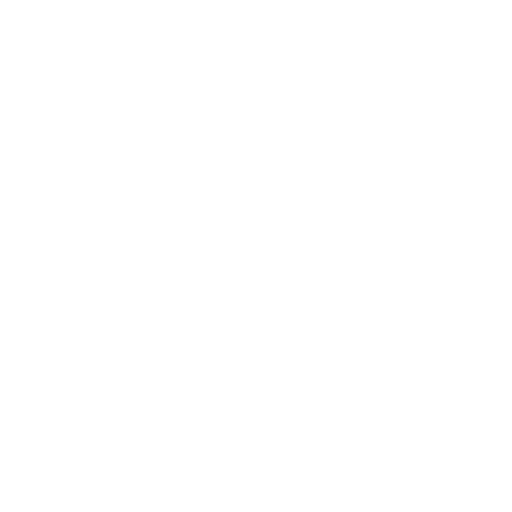 audit